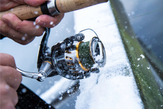 Top 5 Fishing Lures to Use This Winter To Catch Your Personal Best Bass