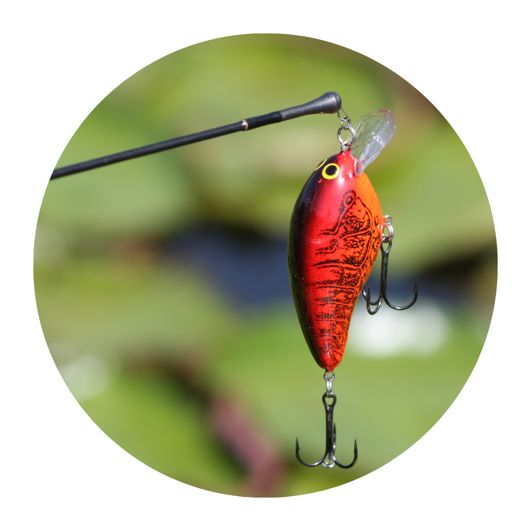 bass finder lure company Cast Fishing Co The OG Floater x Big Dreams Spotted Bass 6g Material Bass Snatcher 4" - Golden