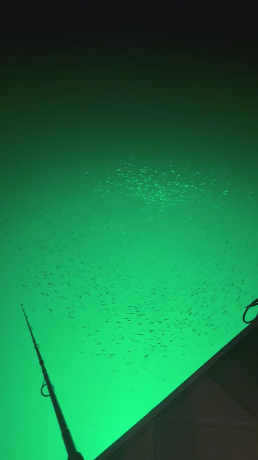 Bass Finder Underwater Portable Green Dock Light Fish Attractant